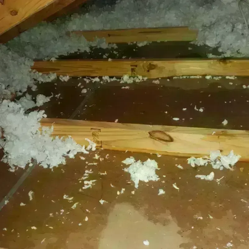 Attic Water Damage in Tulare County, CA